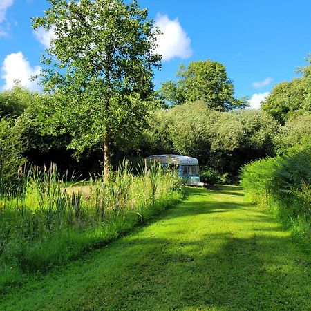 Budget Stay, In Lovely Private Setting With Rustic Charm, Log Burner, Fire Pit, Campers Kitchen & Eco Loo No Bedding Supplied Narberth Luaran gambar