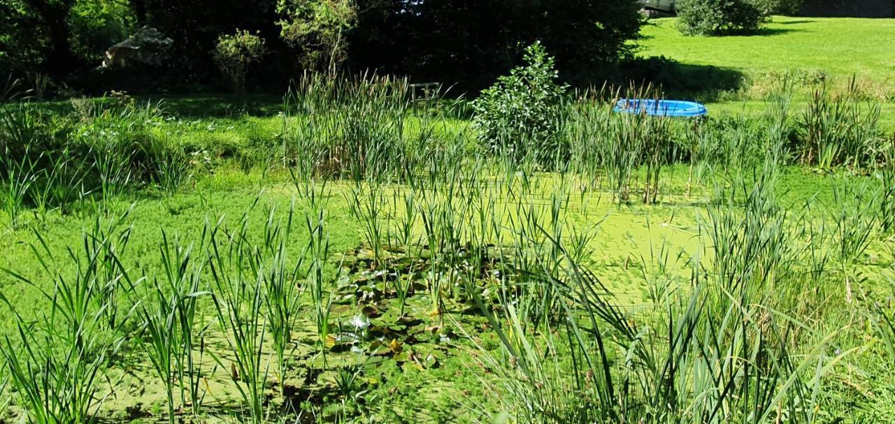 Budget Stay, In Lovely Private Setting With Rustic Charm, Log Burner, Fire Pit, Campers Kitchen & Eco Loo No Bedding Supplied Narberth Luaran gambar